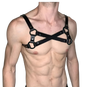 Arnés Dominus X