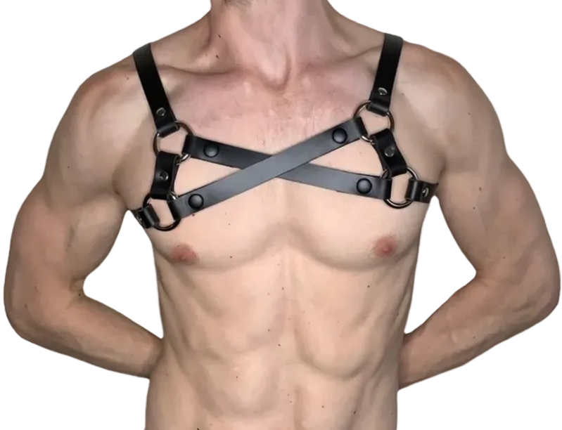 Arnés Dominus X